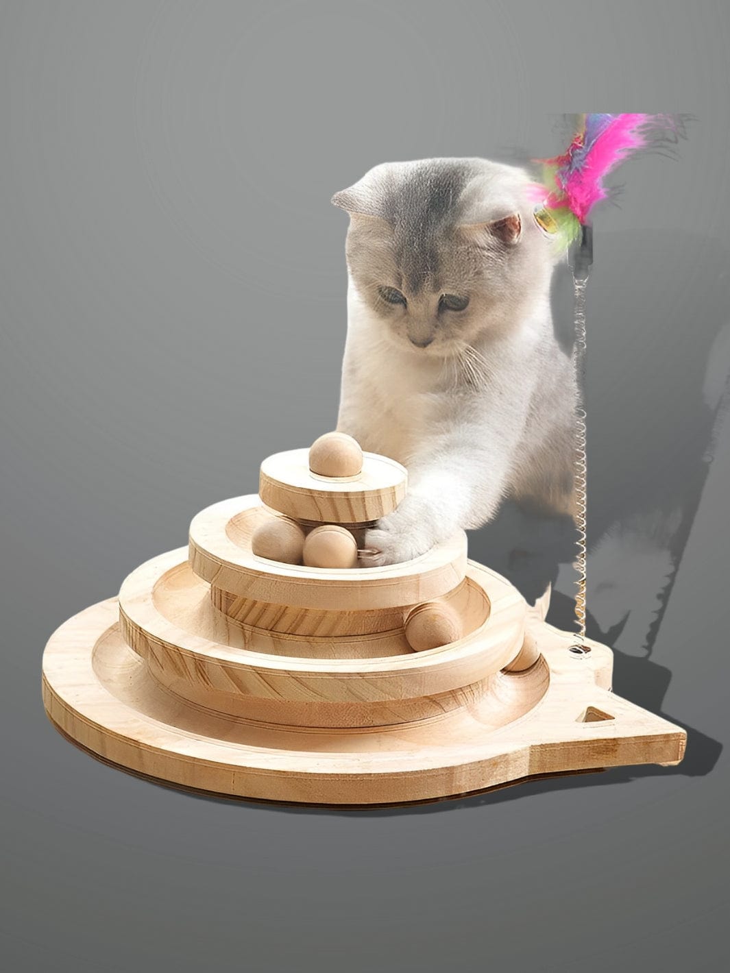 Casse-tête chat<br>Le Défi Chatoyant